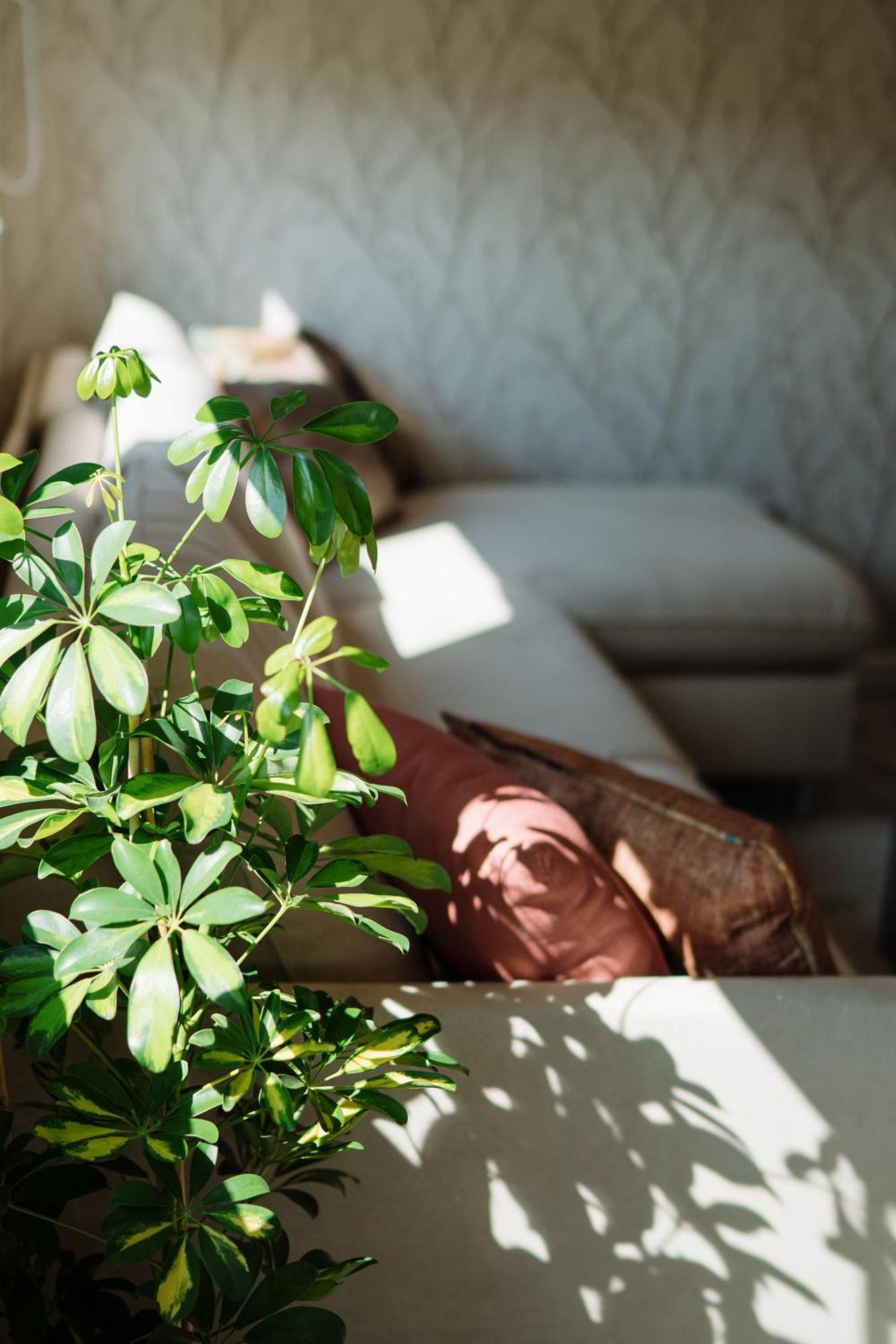 Lena Luxury Apartments Zára Kültér fotó